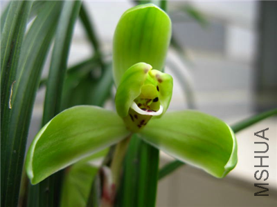 untitled29_����.png