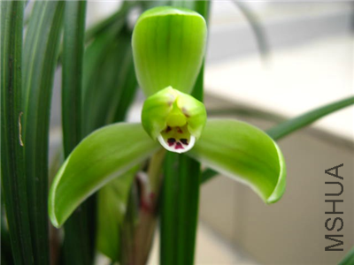 untitled30_����.png