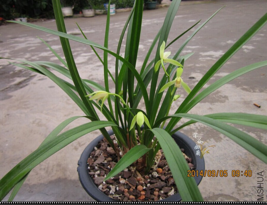 QQͼƬ20080811220059.jpg