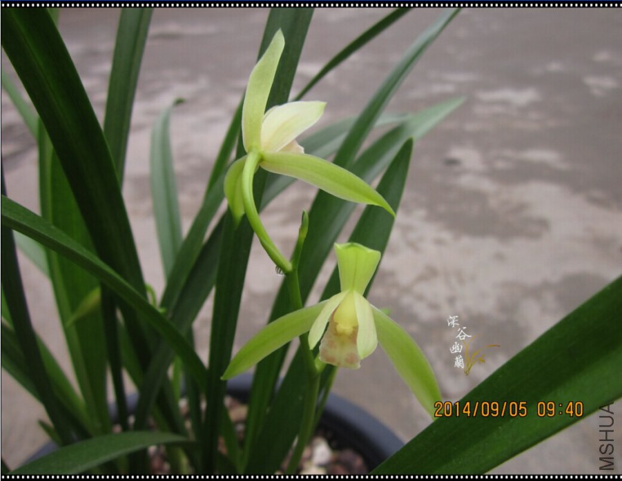 QQͼƬ20080811220103.jpg