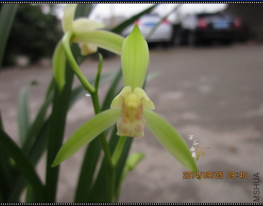 QQͼƬ20080811220105.jpg