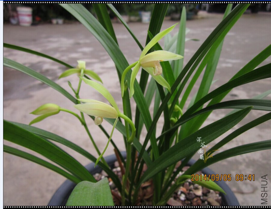 QQͼƬ20080811220108.jpg