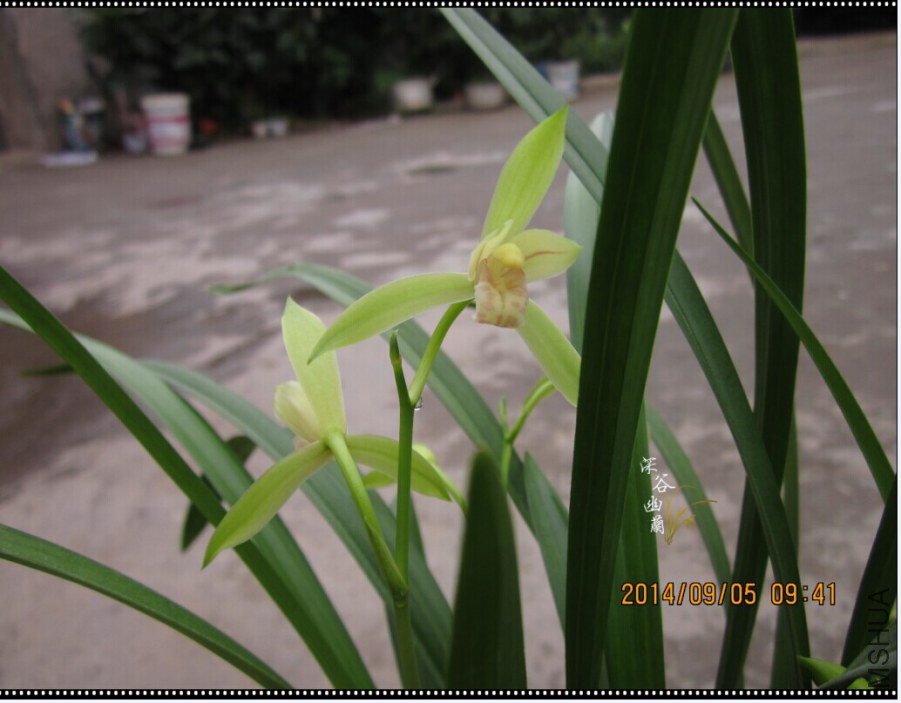 QQͼƬ20080811220110.jpg
