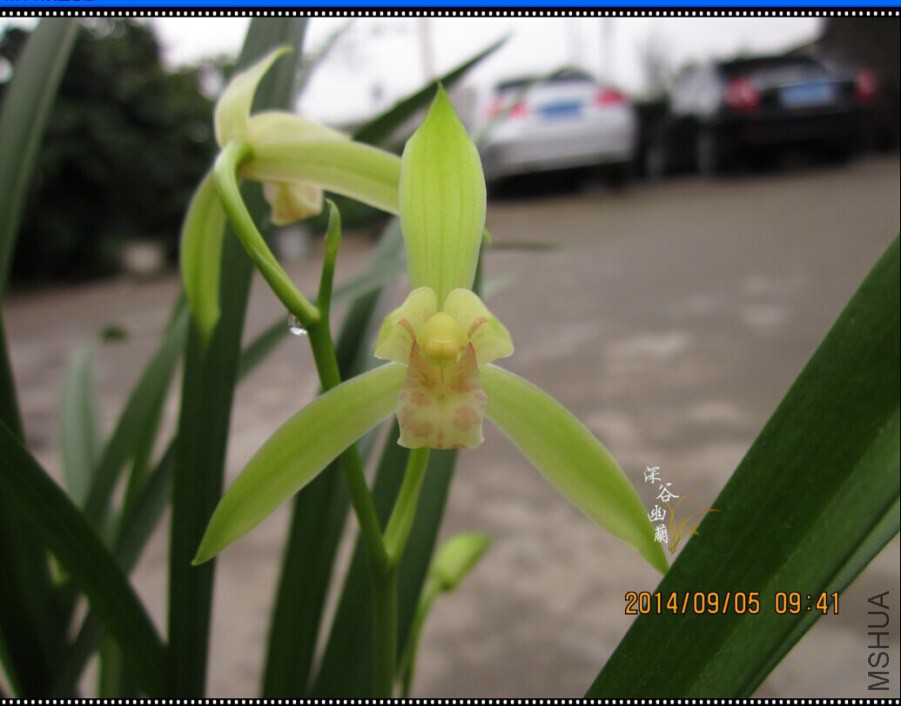 QQͼƬ20080811220112.jpg