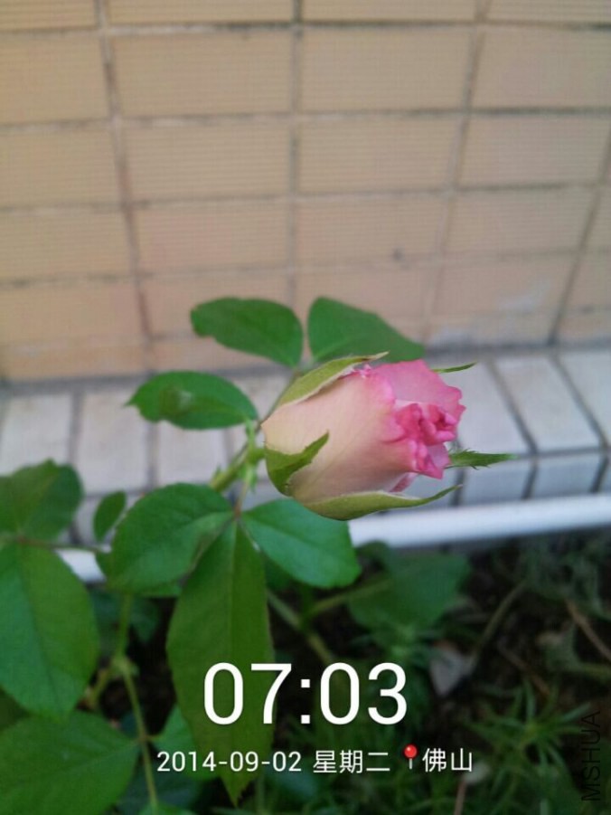 QQͼƬ20140904110658.jpg