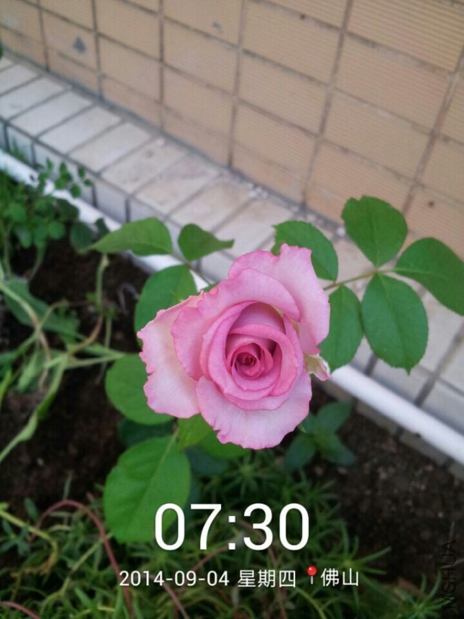 QQͼƬ20140904110652.jpg