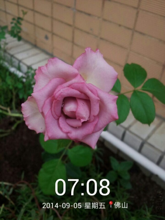 QQͼƬ20140905110213.jpg