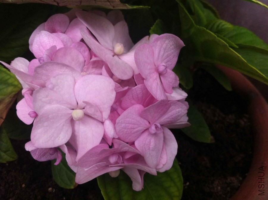 QQͼƬ20140905150813.jpg