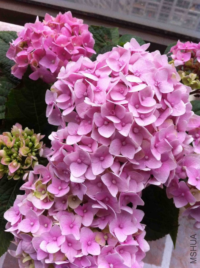 QQͼƬ20140905150805.jpg