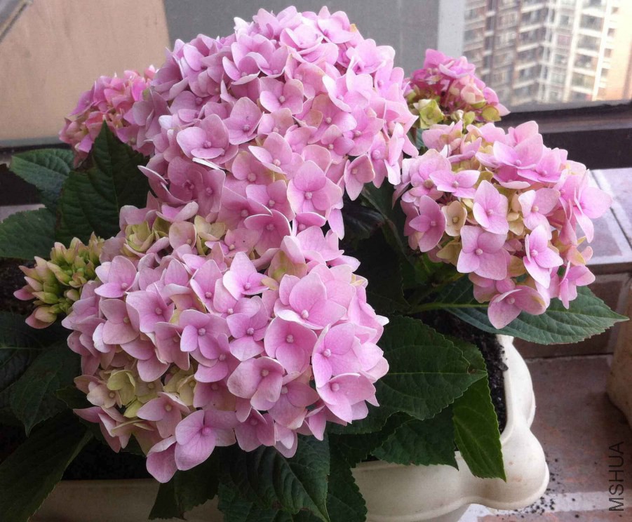 QQͼƬ20140905150834.jpg