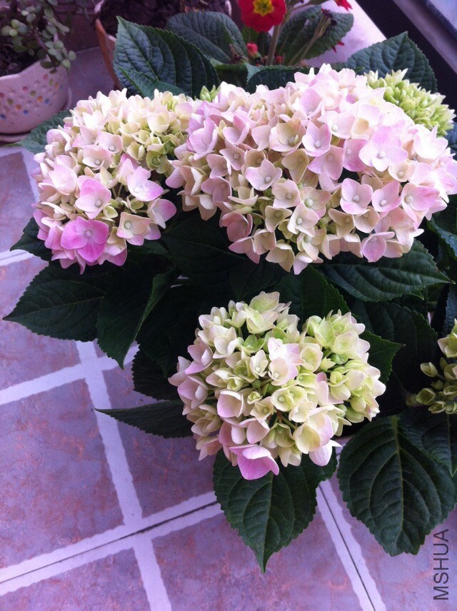 QQͼƬ20140905150748.jpg