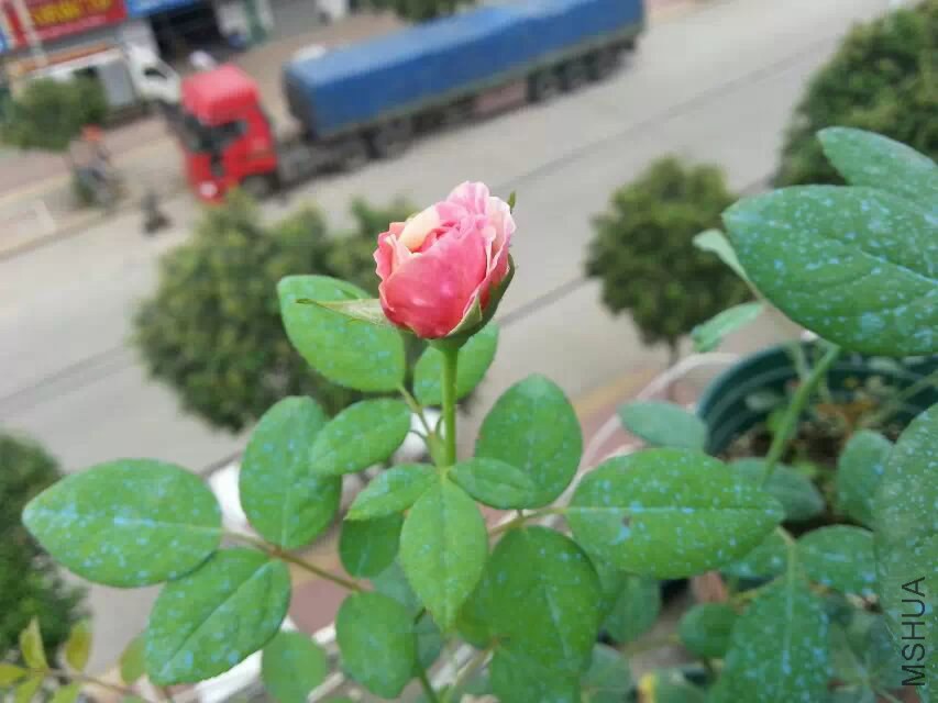 Ī�λ���