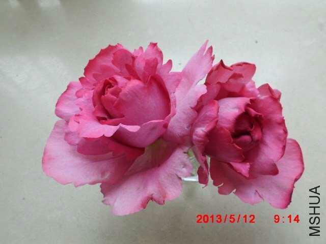 psb9.jpg