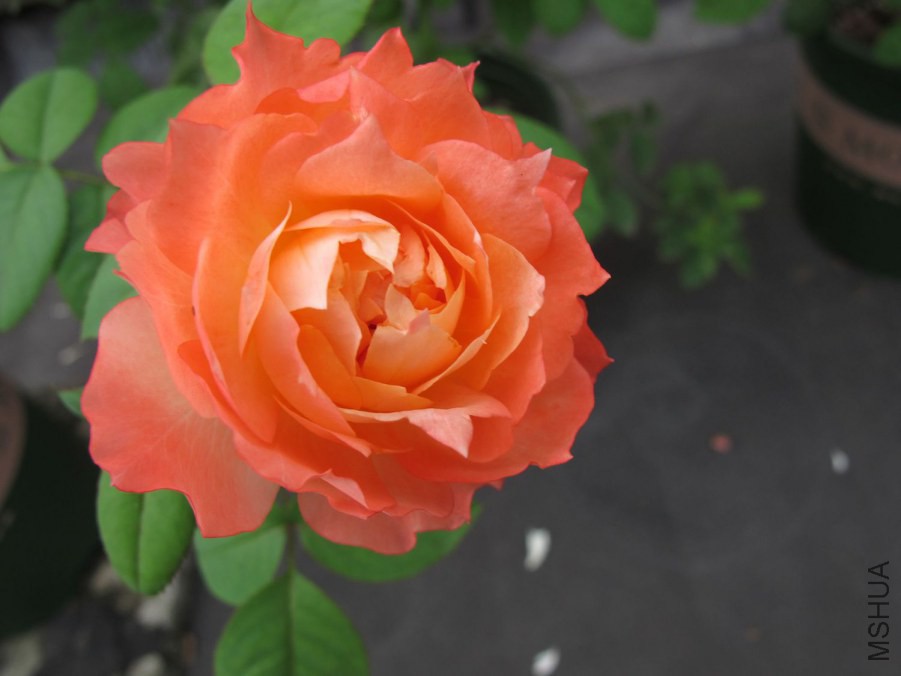 ��Ƭ3 048.jpg