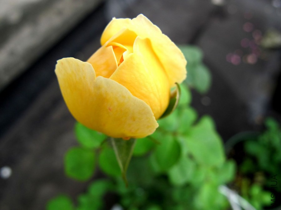 ��Ƭ3 067.jpg
