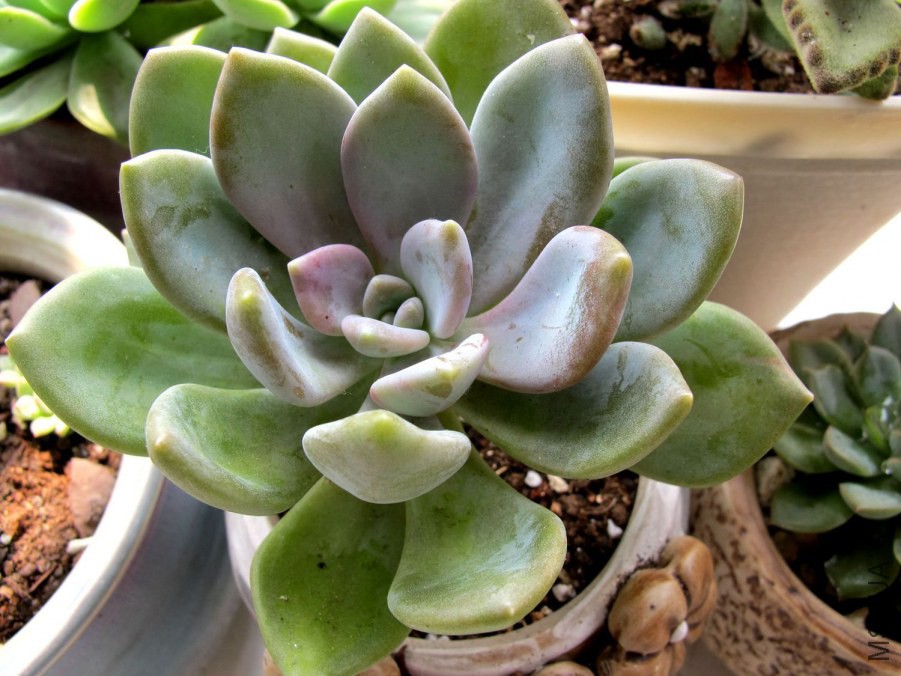 ��Ƭ3 071.jpg