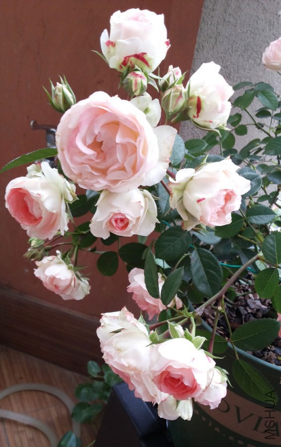 20140504_070759.jpg