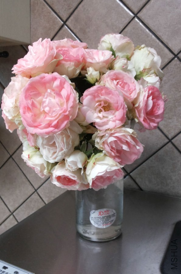 20140510_090017.jpg
