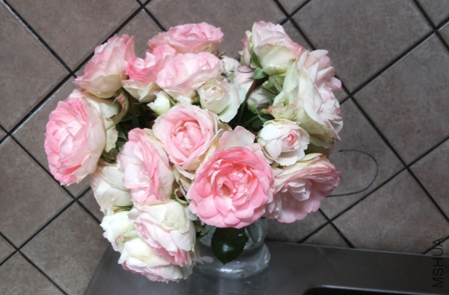 20140510_090032.jpg