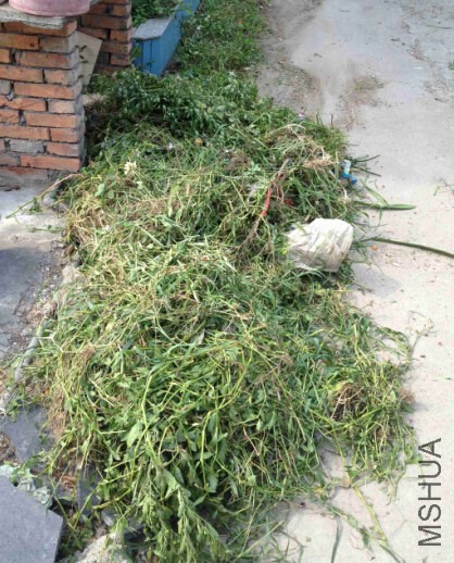 �޼�09.jpg