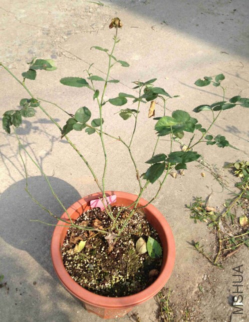 �޼�13.jpg