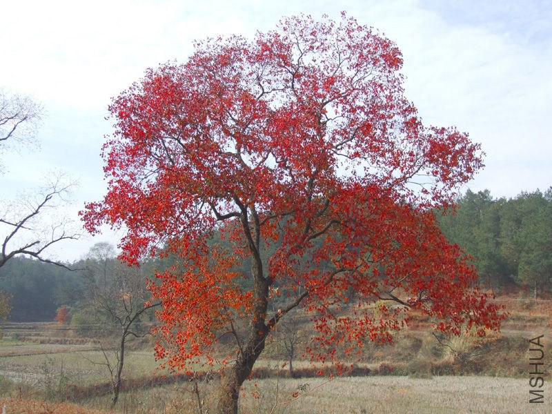 2010102223154668.jpg