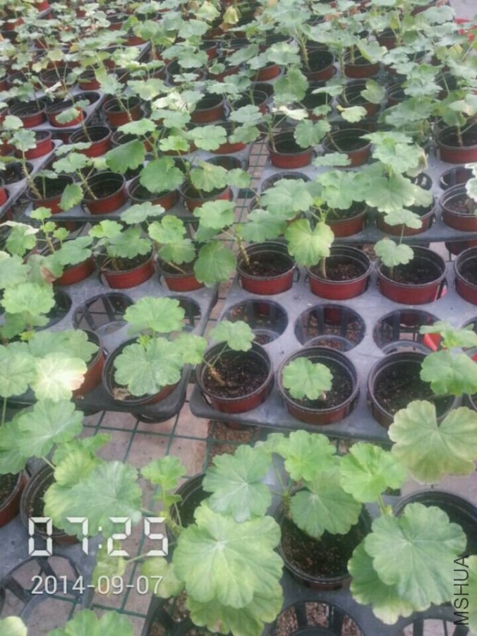 QQͼƬ20140907132656.jpg