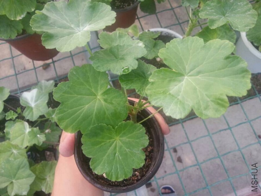 QQͼƬ20140907132701.jpg