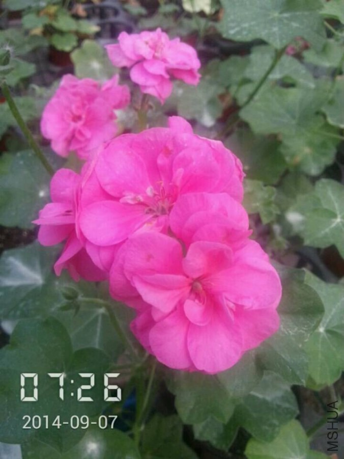 QQͼƬ20140907132639.jpg