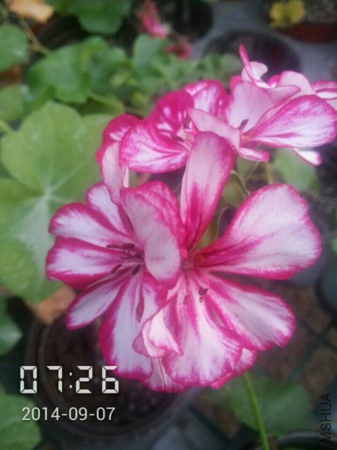 QQͼƬ20140907132648.jpg