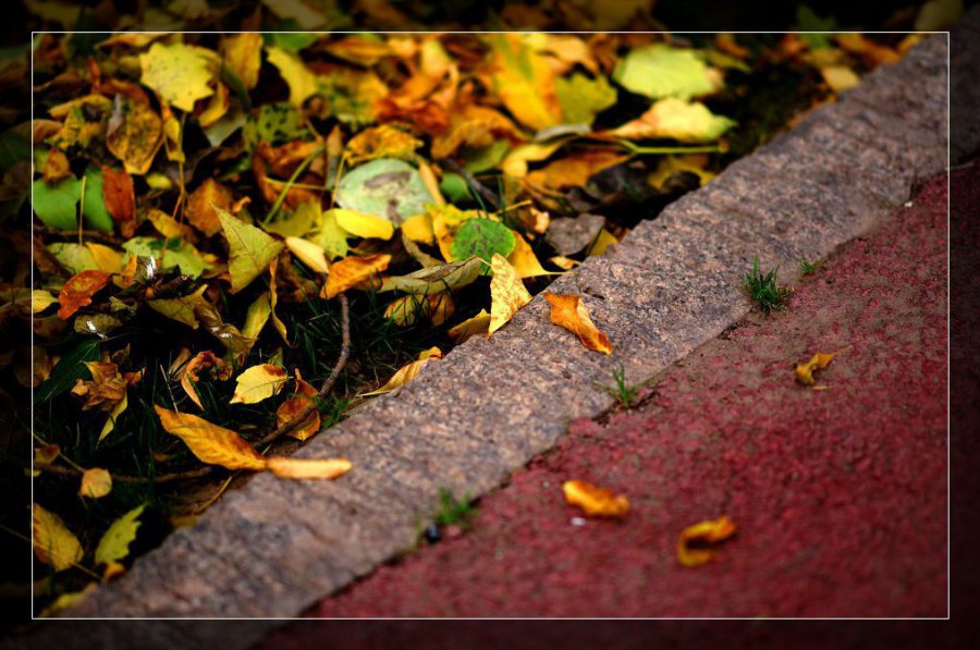 20090913_7b88e6188b984ffbcfecQQHlmVmkMCcS.jpg