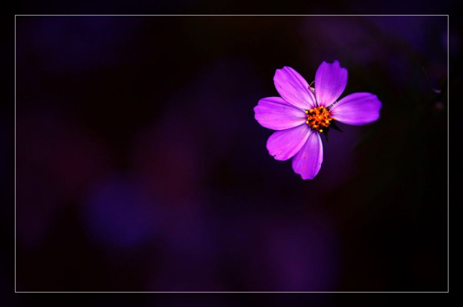 20090915_b9ccae5f0546a92f846em28NmtjNcro5.jpg