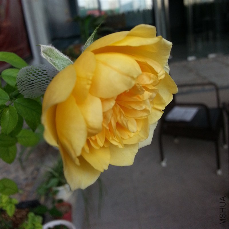 20140904_092812_mh1409796719309_����.jpg