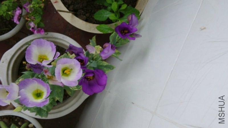 102912ladq2tyk3tpypufy.jpg