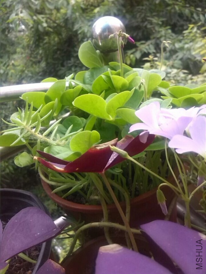 QQͼƬ20140907165113.jpg
