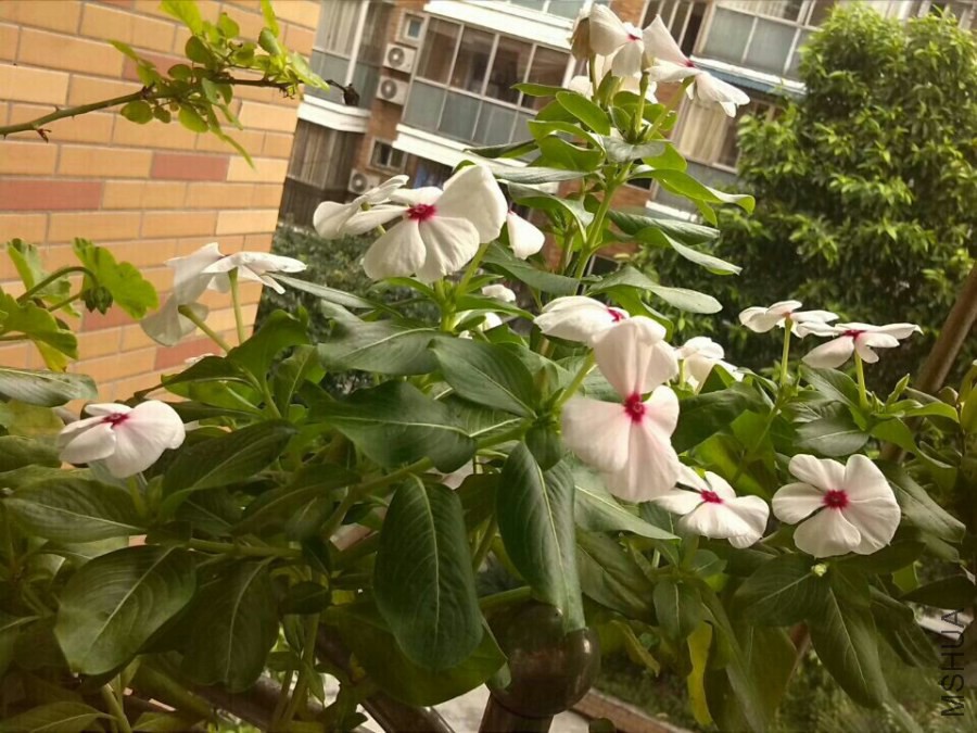 QQͼƬ20140907180059.jpg
