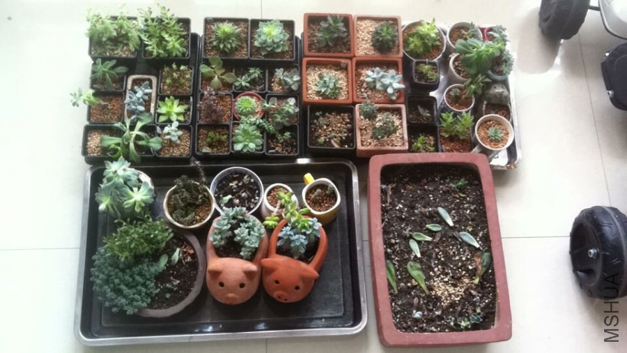QQͼƬ20140908101243.jpg
