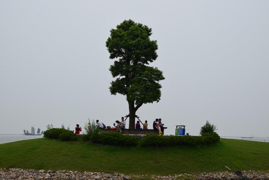 ̫�� 179.JPG