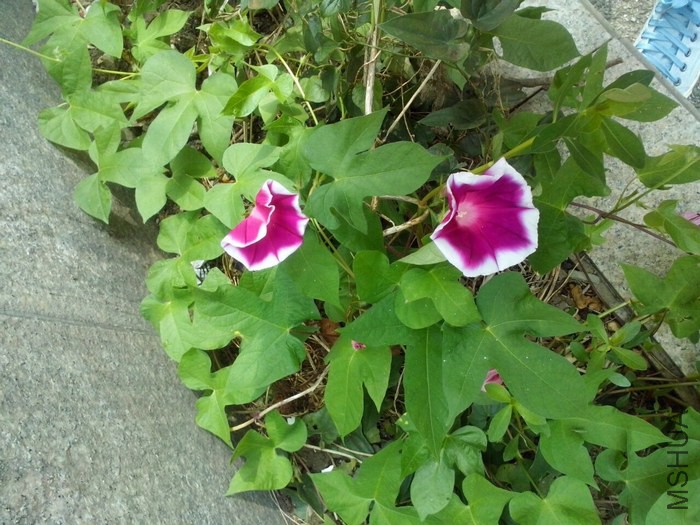 2014090717.jpg