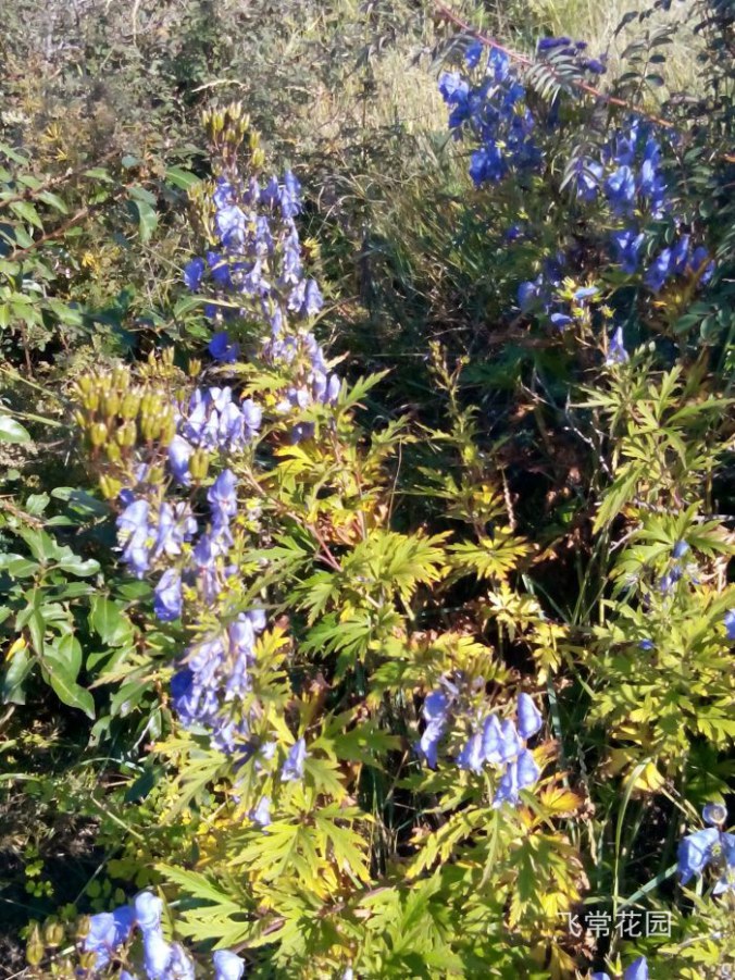img_20140905_151904.jpg