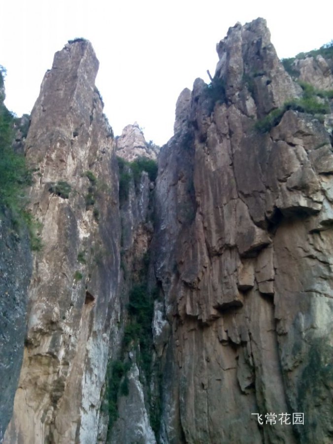 img_20140905_175903.jpg