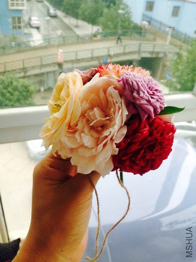 image.jpg