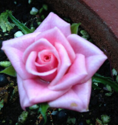 QQͼƬ20140909144545.jpg