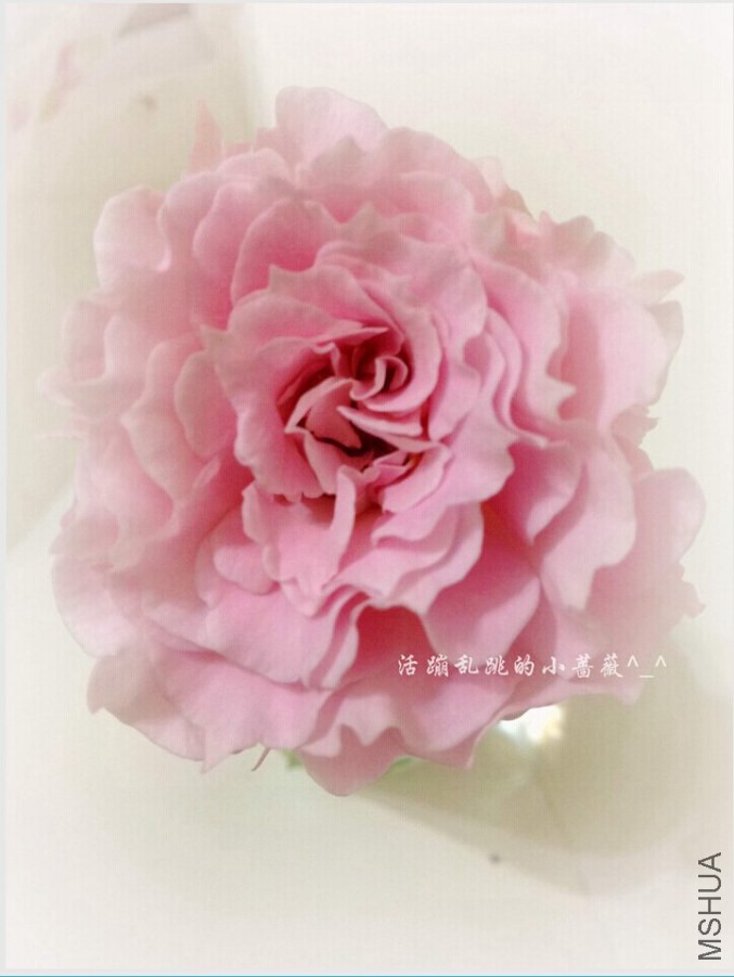 QQͼƬ20140910011740.jpg