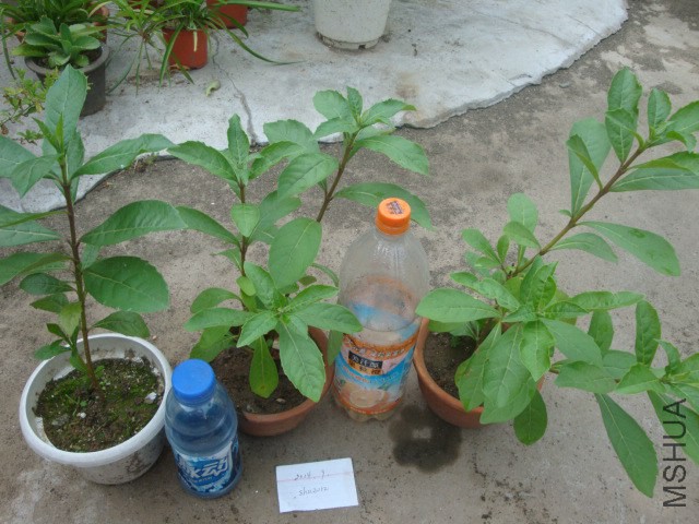 DSC05945.JPG
