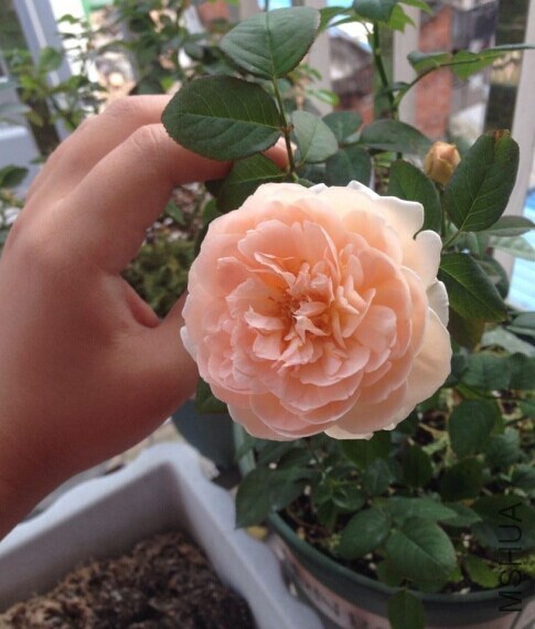 QQͼƬ20140910102010.jpg
