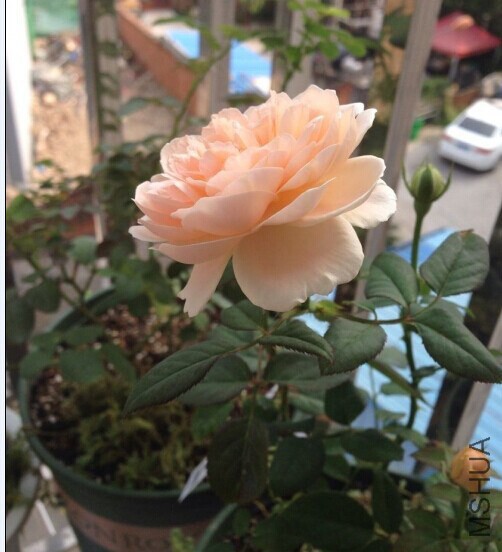 QQͼƬ20140910102118.jpg