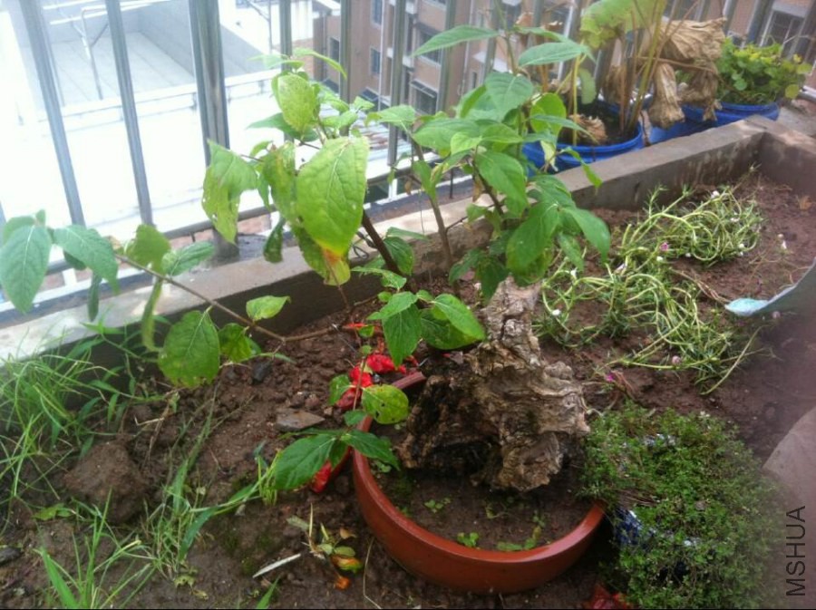 QQͼƬ20140910100007.jpg