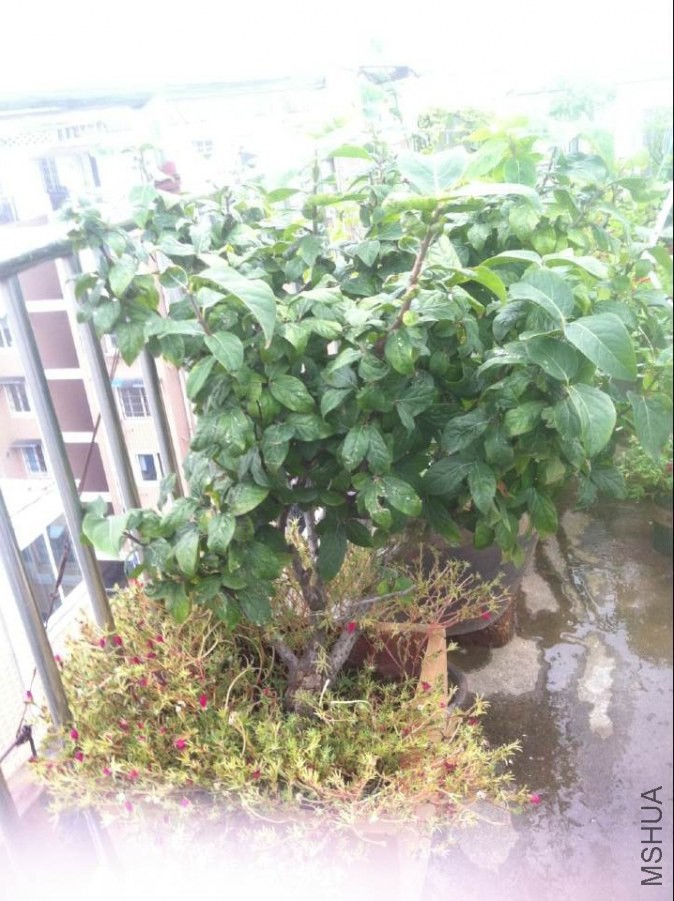 QQͼƬ20140910095958.jpg