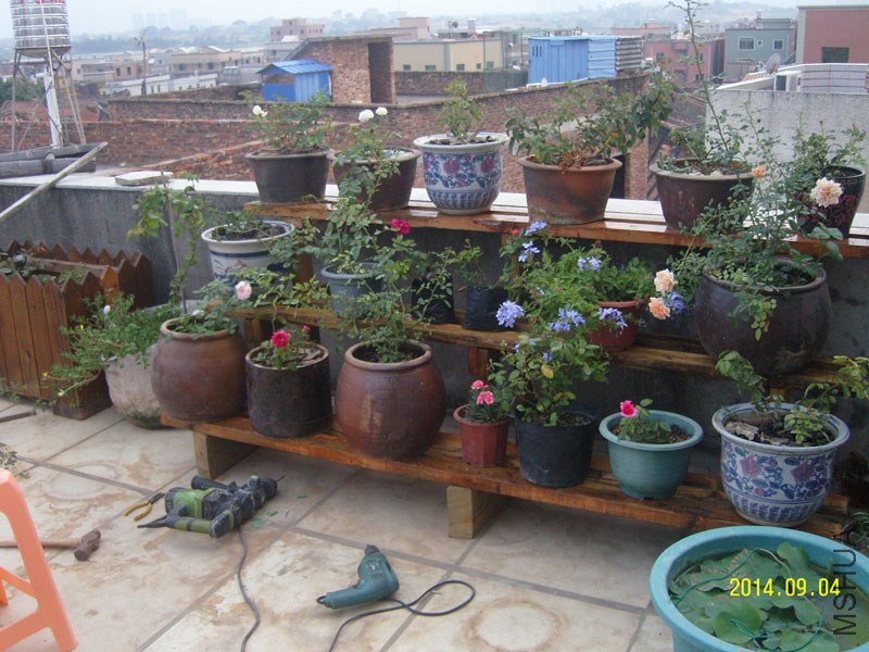 �ѻ����Ͽ���